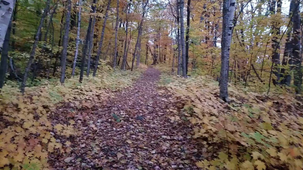 Le petit refuge des bois | 10-24 Chemin du Tremble, Lantier, QC J0T 1V0, Canada | Phone: (438) 404-8323