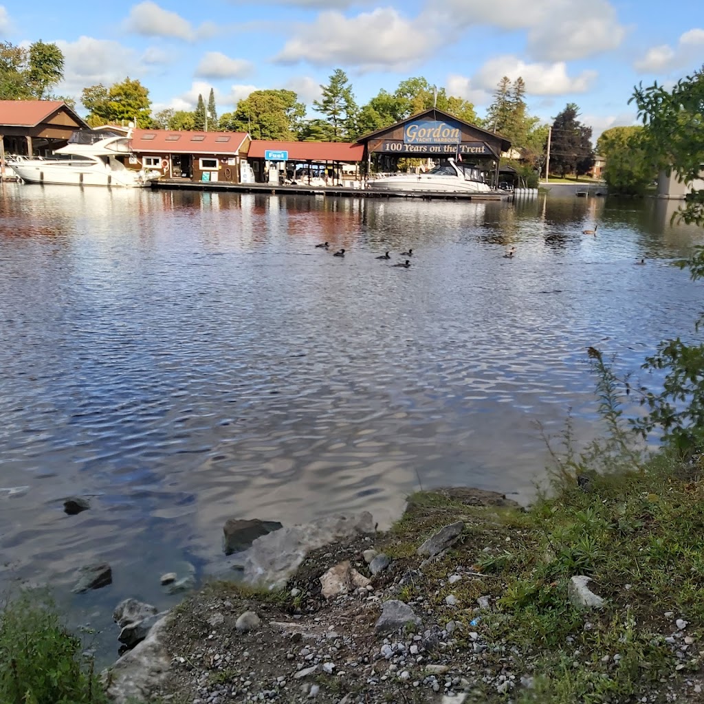 Gordon Yacht Harbour Marina | 54 Front St E, Bobcaygeon, ON K0M 1A0, Canada | Phone: (705) 738-2381