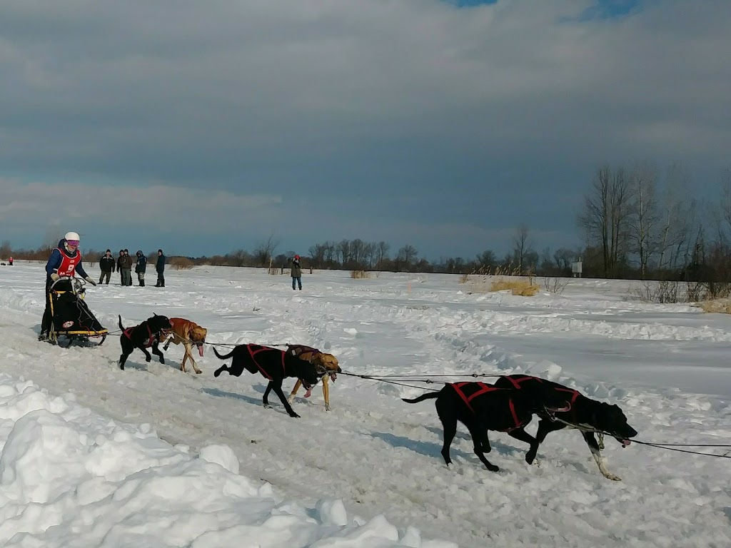 Parc Donald-Bricault | Rue Notre Dame, LÉpiphanie, QC J5X 4S9, Canada