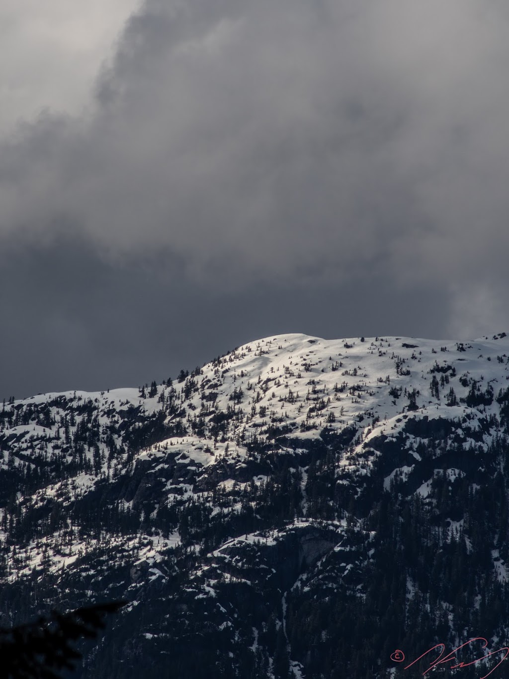 Skyline Ridge Trail | Unnamed Road, Britannia Beach, BC V0N 1J0, Canada