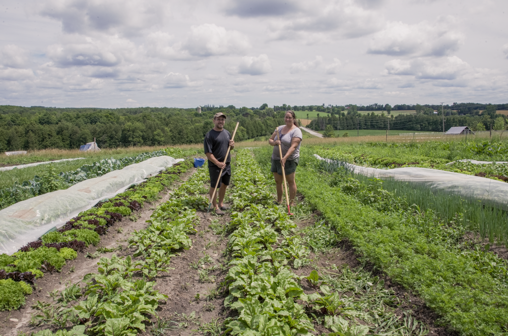 Winterhill Farm & Garden | 5807 Fourth Line, Guelph/Eramosa, ON N0B 2K0, Canada | Phone: (519) 215-3191