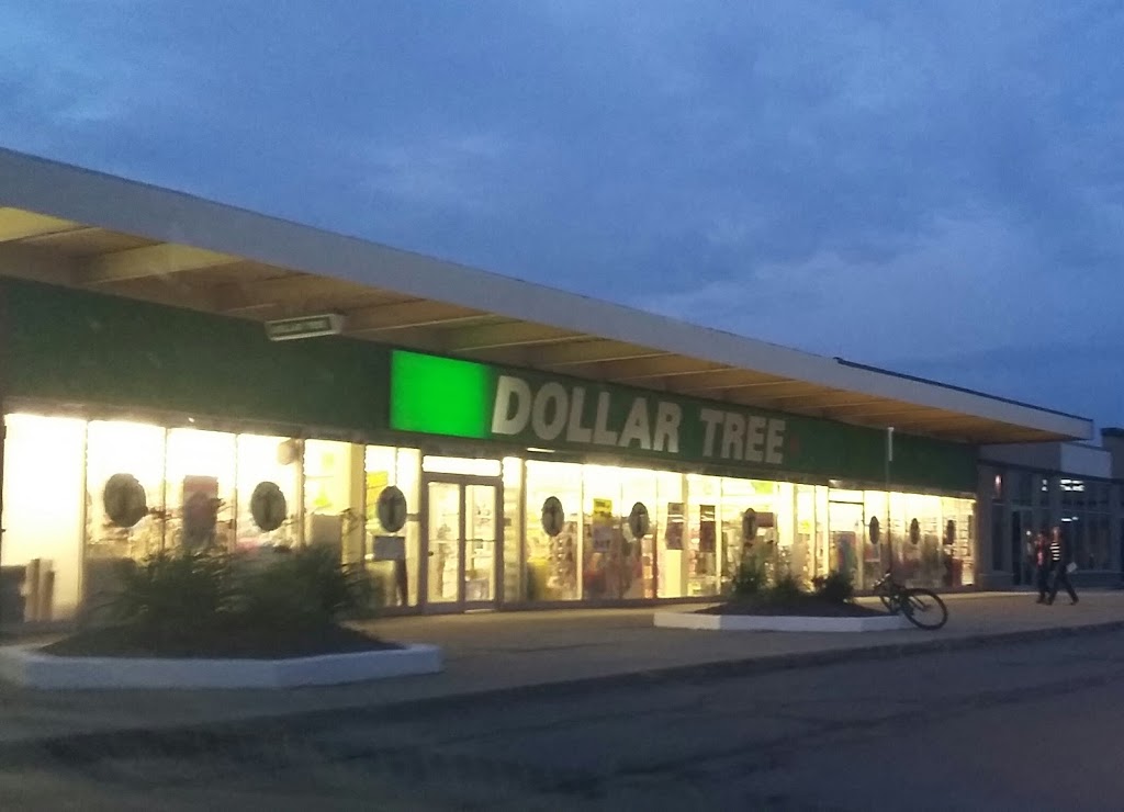 Dollar Tree | 23-200 Fitch St, Welland, ON L3C 4V9, Canada | Phone: (905) 732-6556