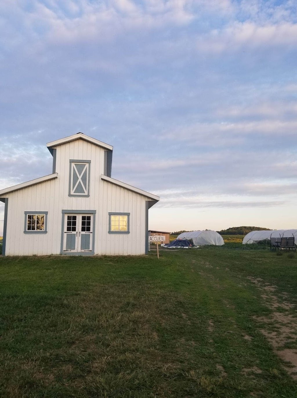 Ferme La Belle Binette | 2201 Rte Marie-Victorin, Saint-Nicolas, QC G7A 4H6, Canada | Phone: (581) 993-1758