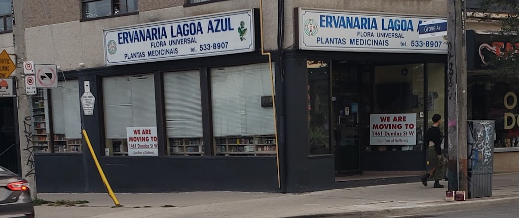 ERVANARIA LAGOA AZUL | 1461 Dundas St W, Toronto, ON M6J 1Y7, Canada | Phone: (416) 533-8907