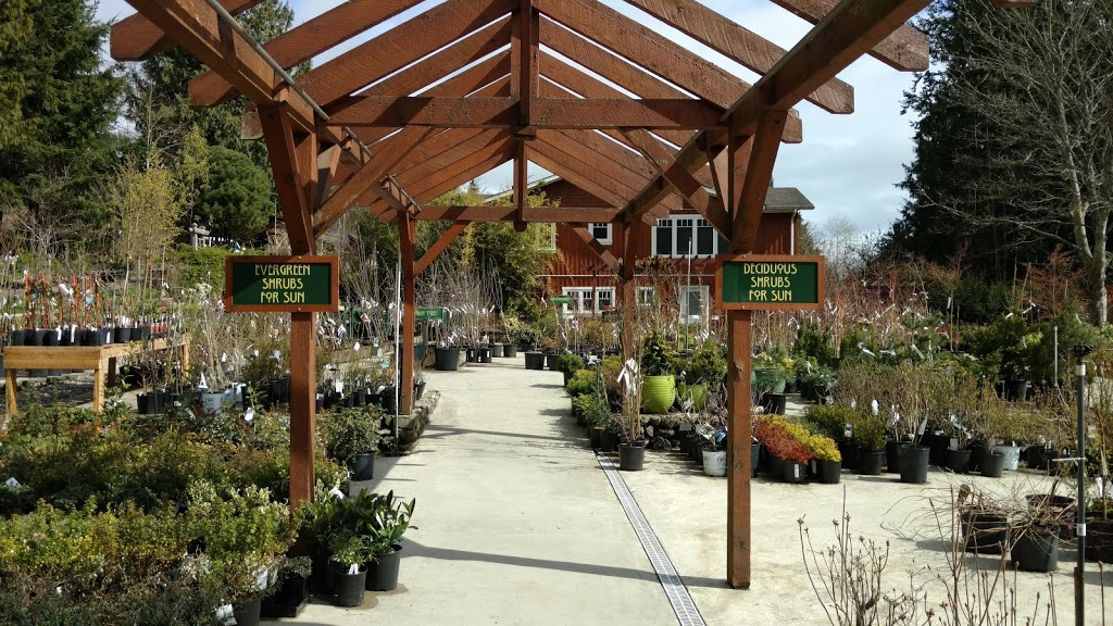 Sunshine Coast Nursery | 1826 Sunshine Coast Hwy, Roberts Creek, BC V0N 2W5, Canada | Phone: (604) 886-2796