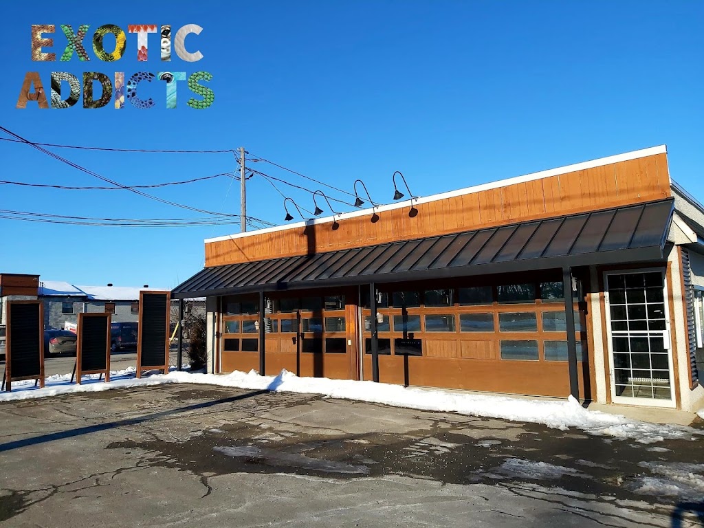 Exotic Addicts | 1442 Bd du Curé-Labelle, Blainville, QC J7L 2P2, Canada | Phone: (438) 409-9557