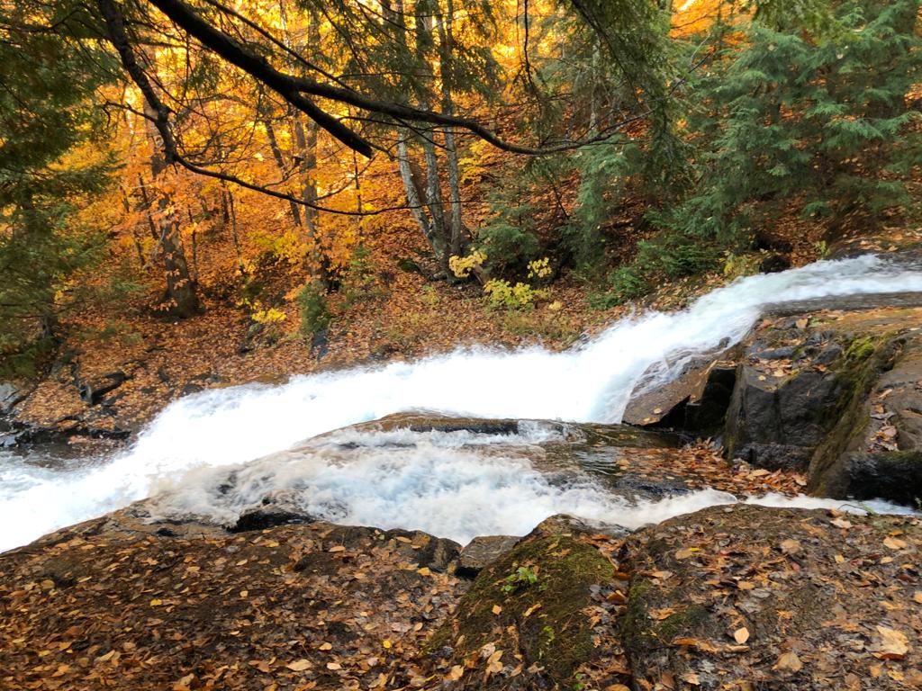 Camp Ramah | 1104 Fish Hatchery Rd, Utterson, ON P0B 1M0, Canada | Phone: (416) 789-2193