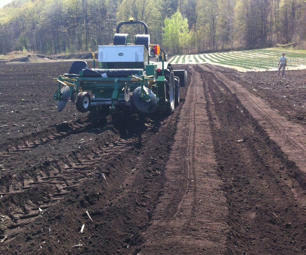 Les Jardins de la Pinède | 225 Rang de lAnnonciation, Oka, QC J0N 1E0, Canada | Phone: (450) 479-8052