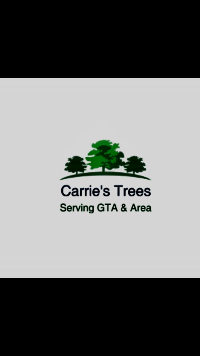 Carries Trees | 1165 Victoria Park Ave, Scarborough, ON M4B 2K5, Canada | Phone: (416) 998-4902