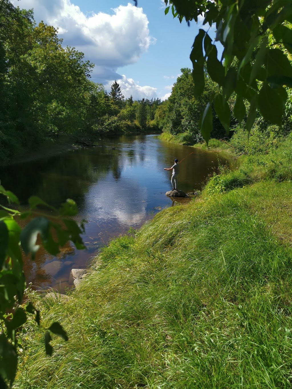 Whitemouth River Campground | Hadashville Service Rd, Hadashville, MB R0E 0X0, Canada | Phone: (780) 619-2495