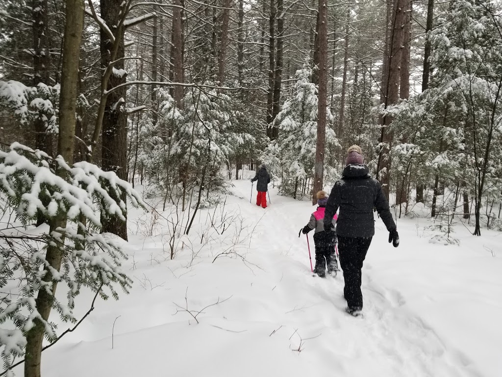 Plage sentier Hydro-Québec | Shawinigan, QC G9N 7J4, Canada