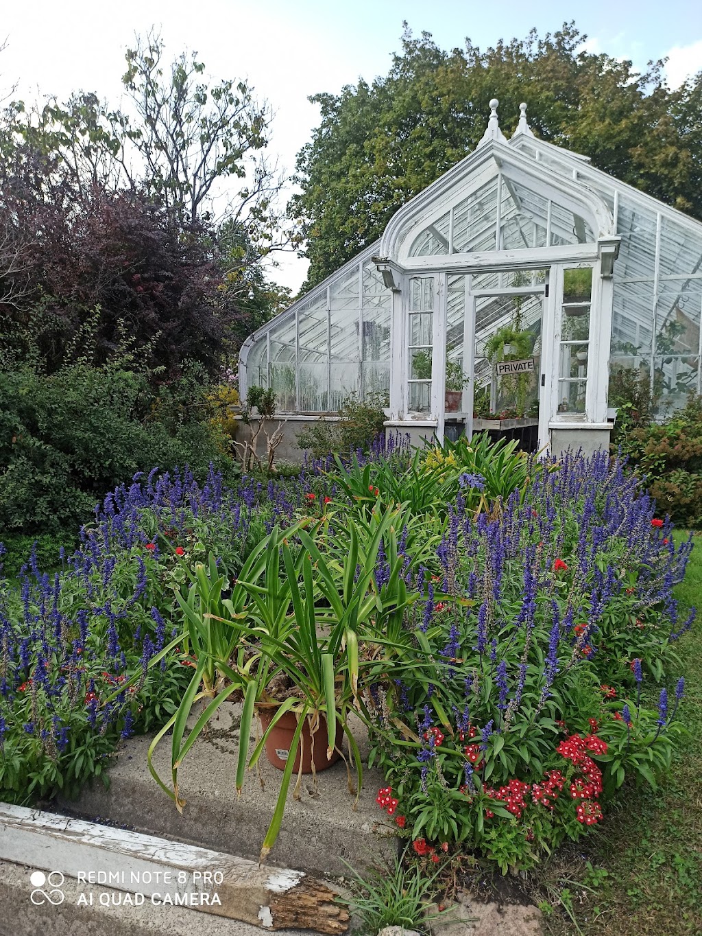 Greenhouse in Spadina Museum | 285 Spadina Rd, Toronto, ON M5R 2V5, Canada | Phone: (416) 392-6910