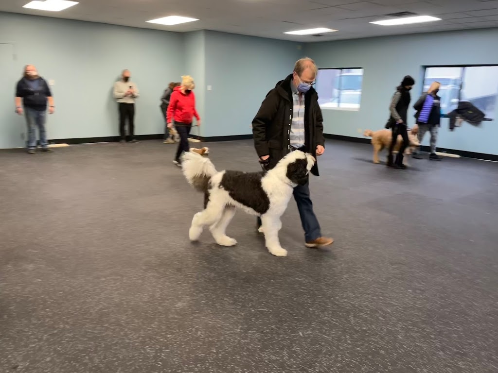 Unified K9 Behaviour Centre | 580 Steven Ct Building B, Unit 11, Newmarket, ON L3Y 6Z3, Canada | Phone: (289) 383-4136