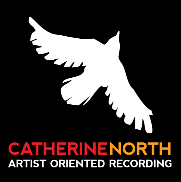 Catherine North Studios | 255 Park St N, Hamilton, ON L8L 1L9, Canada | Phone: (905) 528-7142