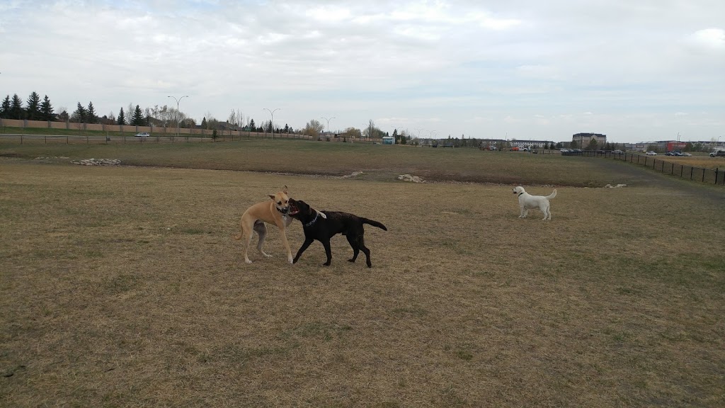 Hyde Park Dog Park | Boychuck Drive, Saskatoon, SK S7V 0A7, Canada | Phone: (306) 975-3340