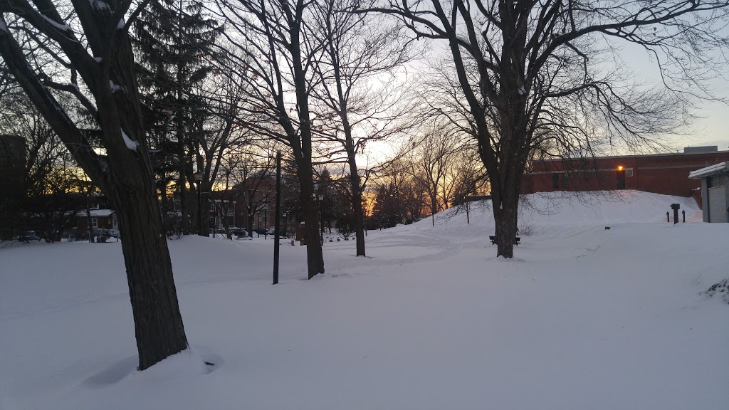 Parc Jean-Pierre-Côté | Rue Saint-Charles Ouest, Longueuil, QC J4H 2K5, Canada