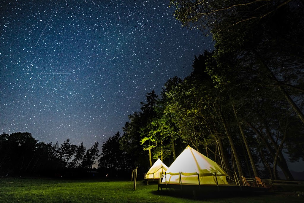 Fossil Beach Farm | 750 Savoie Rd, Hornby Island, BC V0R 1Z0, Canada | Phone: (778) 677-1034