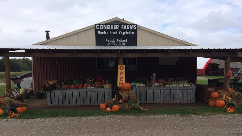 Conquer Farms | 5731 Imperial Rd, Aylmer, ON N5H 2R2, Canada | Phone: (519) 765-1269