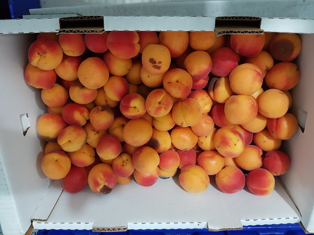 McConnells Fruit Mkt & Orchard | 7305 Solly Rd, Summerland, BC V0H 1Z1, Canada | Phone: (250) 494-5541