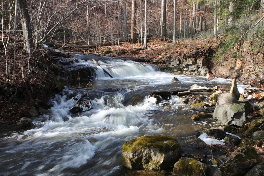 Silver Creek Conservation Area | Fallbrook Trail & Side Rd 27, Halton Hills, ON L7G 4S4, Canada | Phone: (800) 367-0890