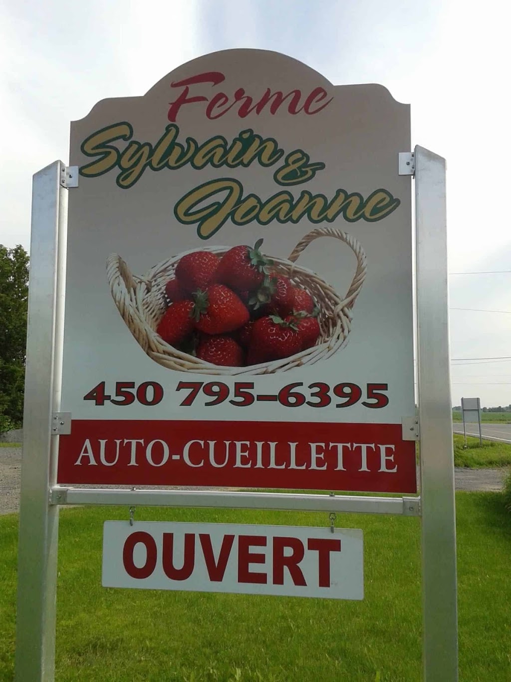 Ferme Sylvain & Johanne | 820 Rang N Ouest, Saint-Jean-Baptiste, QC J0L 2B0, Canada | Phone: (450) 795-6395