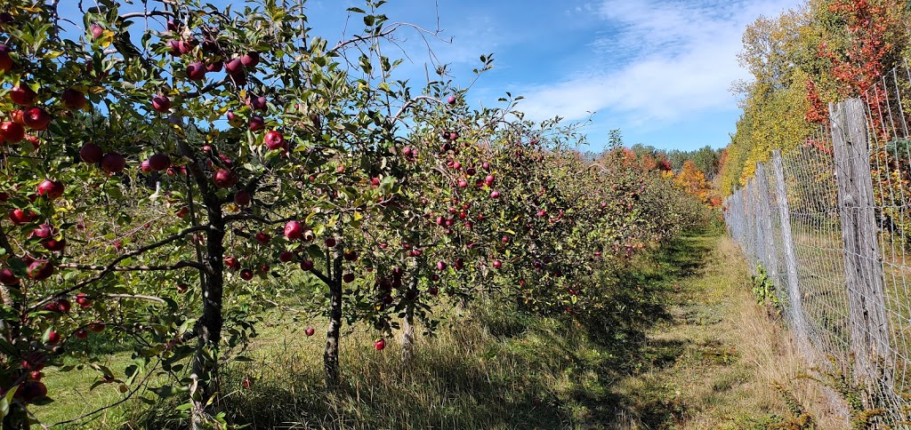 Verger Belpom | 9585 Chemin des Merisiers, Bécancour, QC G9H 3K1, Canada | Phone: (819) 384-2484