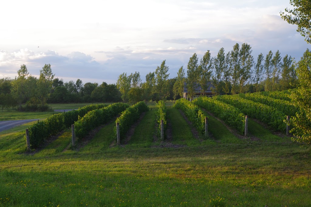 Broken Stone Winery | 524 Closson Rd, Hillier, ON K0K 2J0, Canada | Phone: (343) 600-3993