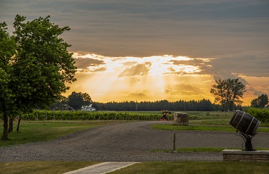 Vignoble Lano d’Or | 1000 Grande Côte O, Lanoraie, QC J0K 1E0, Canada | Phone: (514) 756-2233