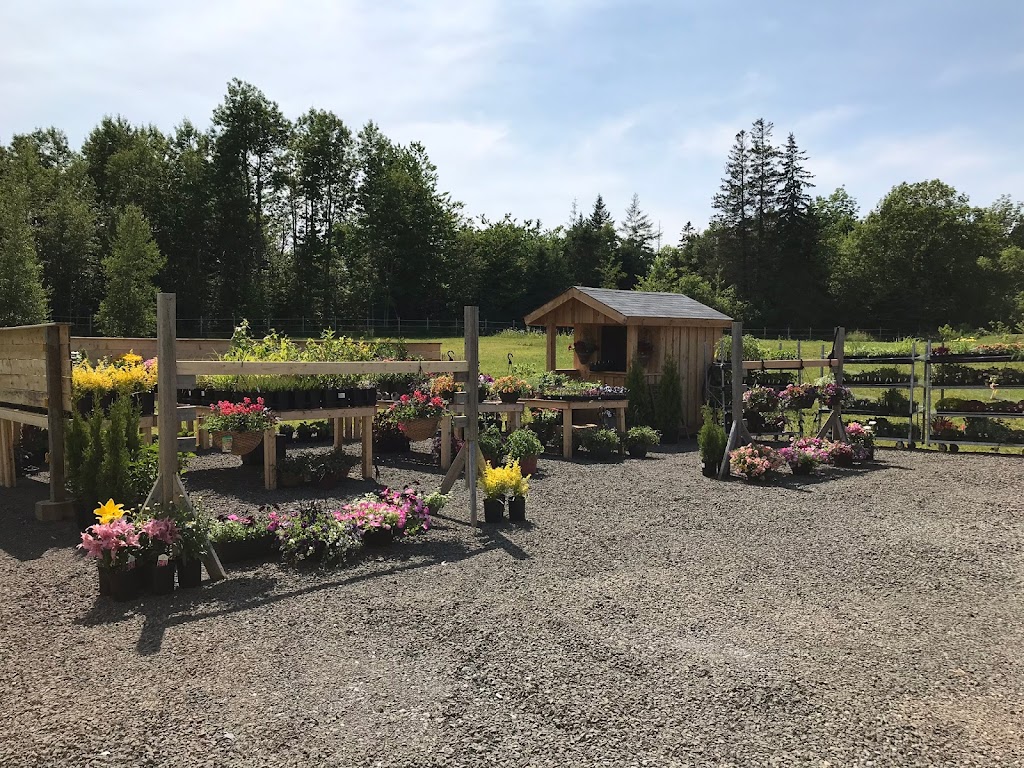 Ragged Robin Farm & Nursery | 3915 Granville Rd, Port Royal, NS B0S 1A0, Canada | Phone: (902) 532-8507