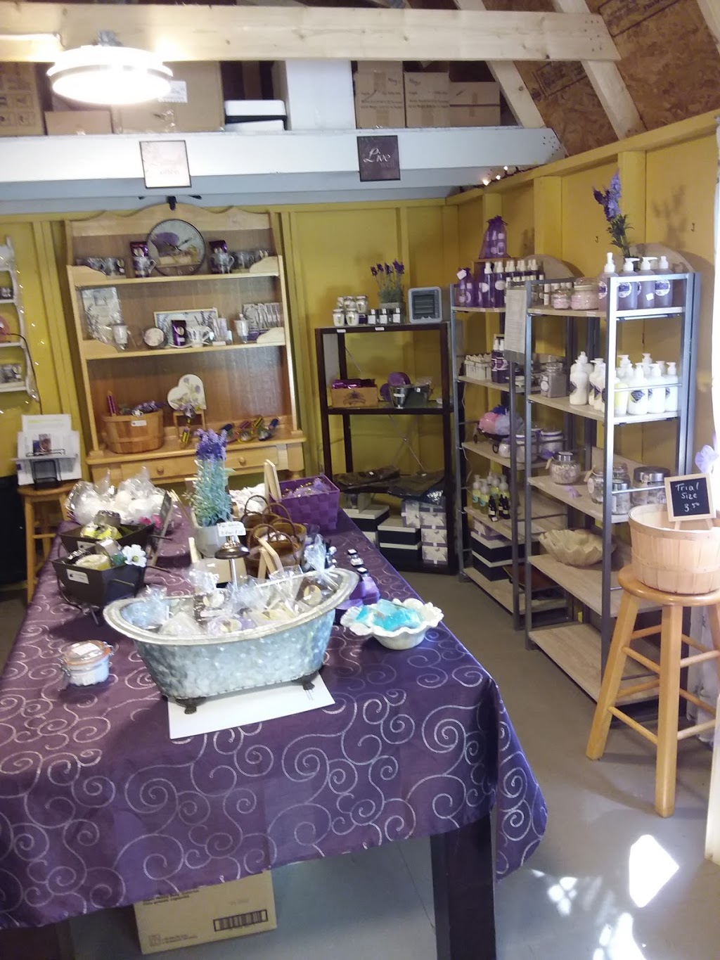 Rocky Meadows Lavender | 2295 County Rd 38, Indian River, ON K0L 2B0, Canada | Phone: (905) 429-0528