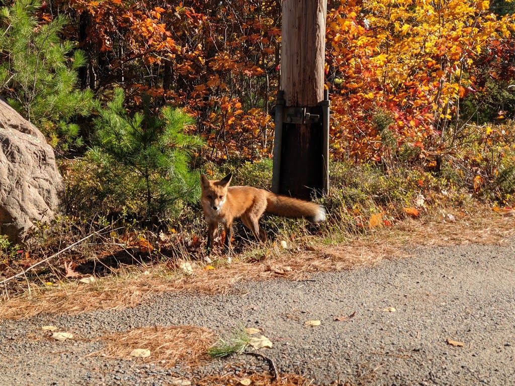 Tar Vat Trail | Ontario St, Killarney, ON P0P, Canada | Phone: (705) 287-2828