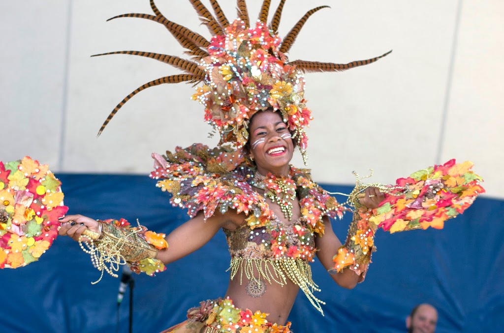 9th Annual Afro Carib Fest | Thompson Park, 1005 Brimley Rd, Scarborough, ON M1P 3E9, Canada | Phone: (416) 345-1613