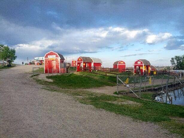 Butterfield Acres Petting Farm | 254077 Rocky Ridge Rd NW, Calgary, AB T3R 1A6, Canada | Phone: (403) 239-0638