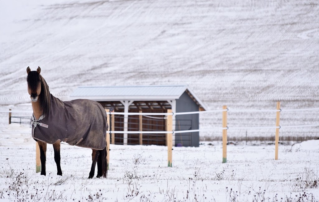 Winterwind Kigers | Dunmore Rd, Antigonish County, NS B2G 0B4, Canada | Phone: (902) 318-1005