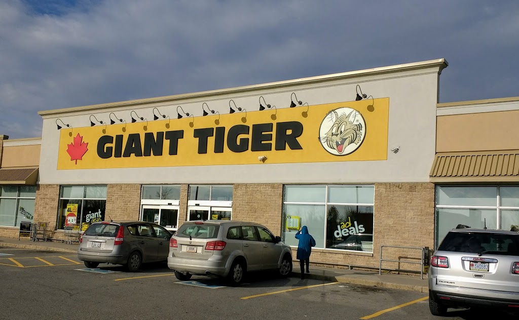 Giant Tiger | 320 Coleman St, Carleton Place, ON K7C 0B5, Canada | Phone: (613) 253-5564