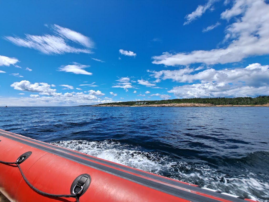 Croisières Essipit / Whale Watching Essipit Cruise | 498 Rue de la Mer, Grandes-Bergeronnes, QC G0T 1G0, Canada | Phone: (418) 232-6778