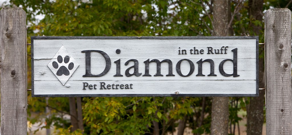 Diamond In The Ruff Pet Retreat | 7625 Leslie Rd W, Puslinch, ON N0B 2J0, Canada | Phone: (519) 837-4473