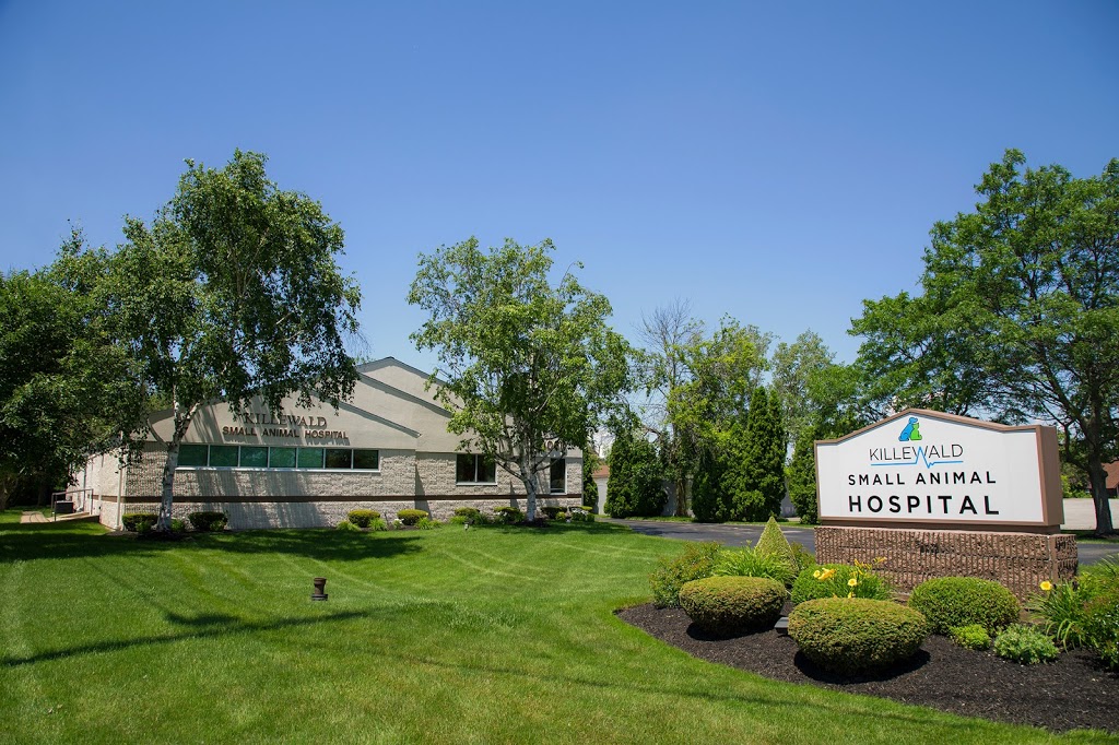 Killewald Small Animal Hospital | 3020 Niagara Falls Blvd, Amherst, NY 14228, USA | Phone: (716) 694-9191