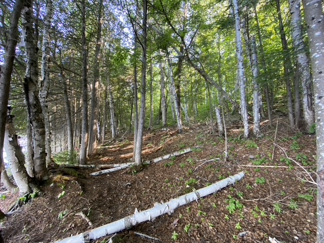 Eagles Ridge | Chemin des Guides, Rivière-Rouge, QC J0T 1T0, Canada | Phone: (514) 730-5571