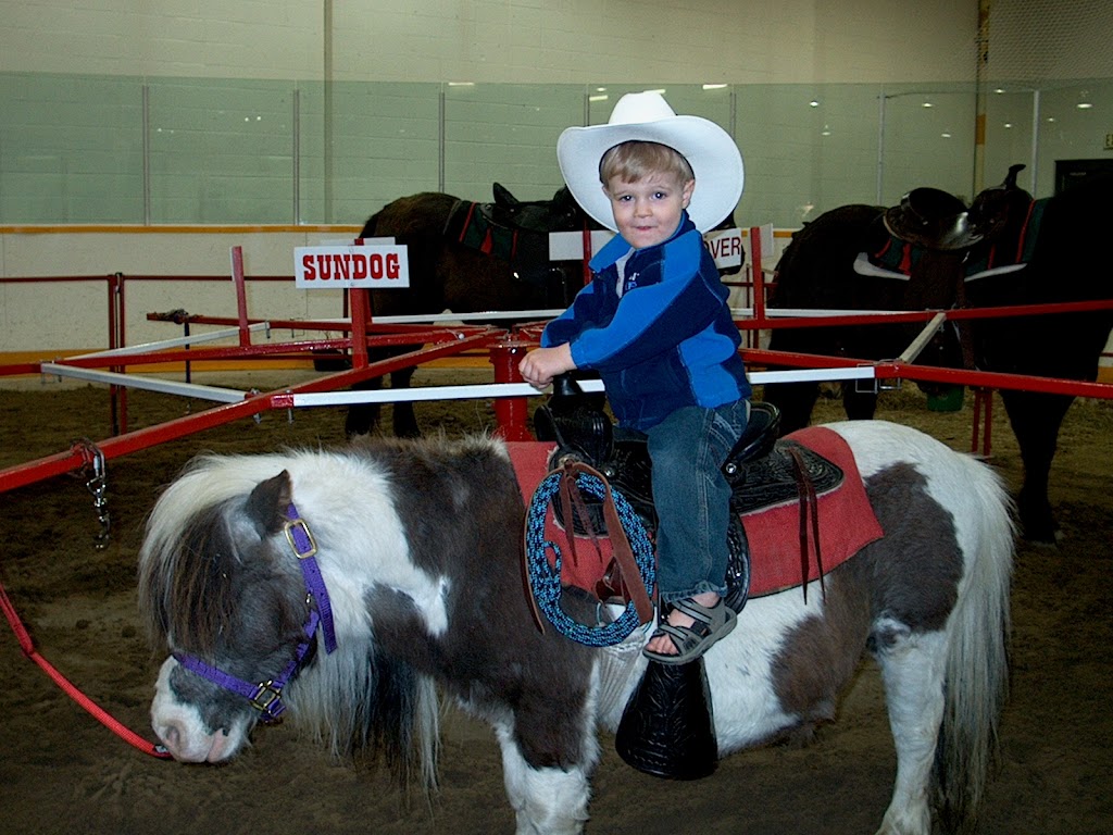 Thistle Hill Farm Petting Zoo & Pony Rides | 22137 AB-21, Hay Lakes, AB T0B 1W0, Canada | Phone: (780) 878-3344