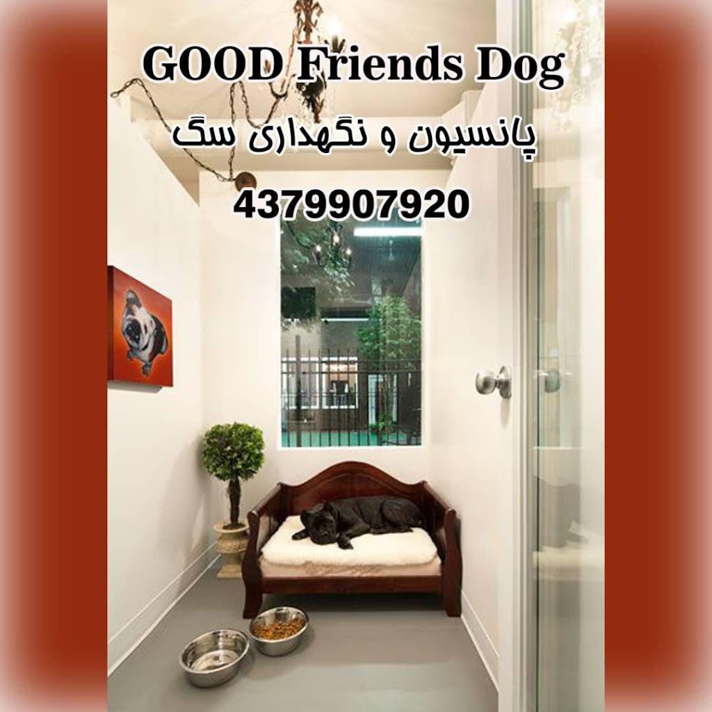 Dog Friends Good | 43 Palmer Ave, Richmond Hill, ON L4C 1N6, Canada | Phone: (437) 990-7920