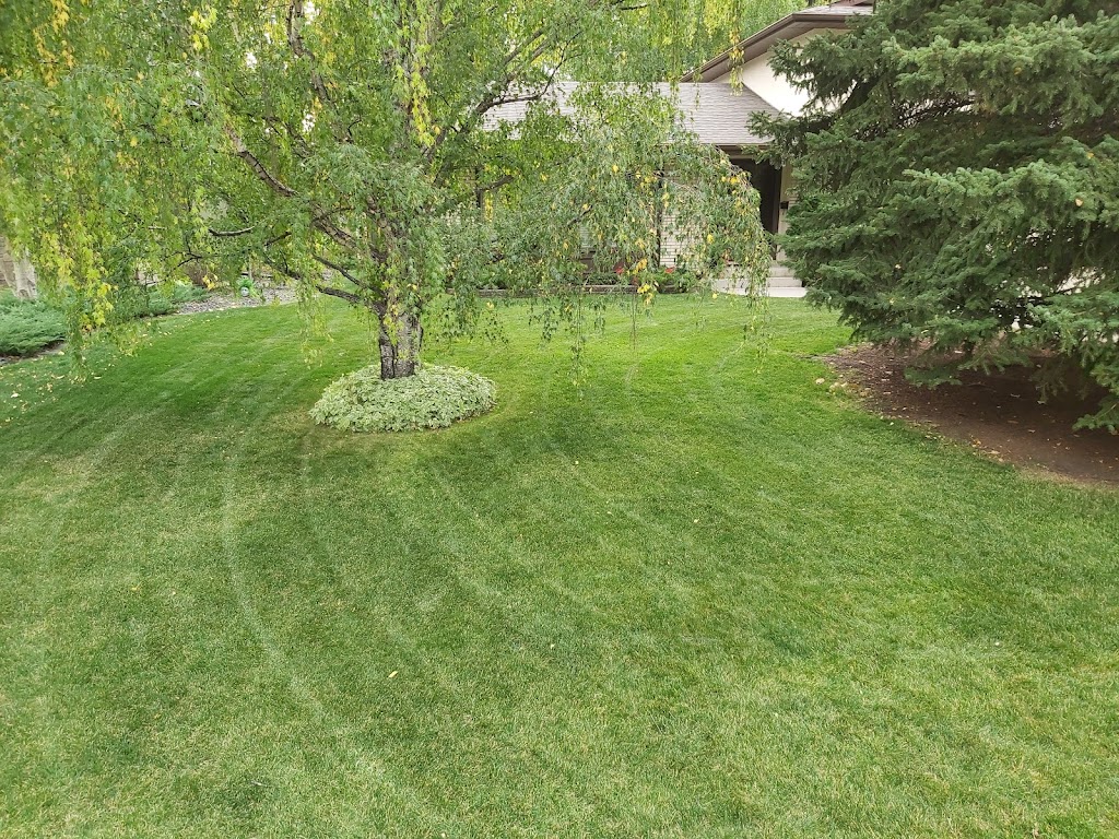 Angelo’s Lawn and Maintenance Ltd: | 31092 Woodland View, Calgary, AB T3R 1G4, Canada | Phone: (403) 861-9533