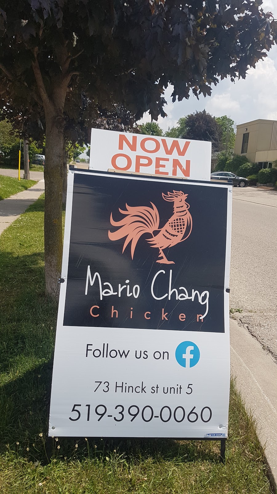 Mario Chang Chicken | 73 Hincks St, New Hamburg, ON N3A 2A2, Canada | Phone: (519) 390-0060