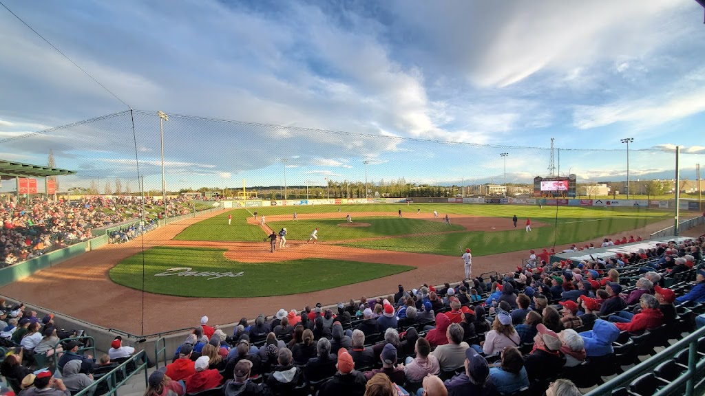 Okotoks Dawgs | 256 Don Seaman Way, Okotoks, AB T1S 1A5, Canada | Phone: (403) 262-3294