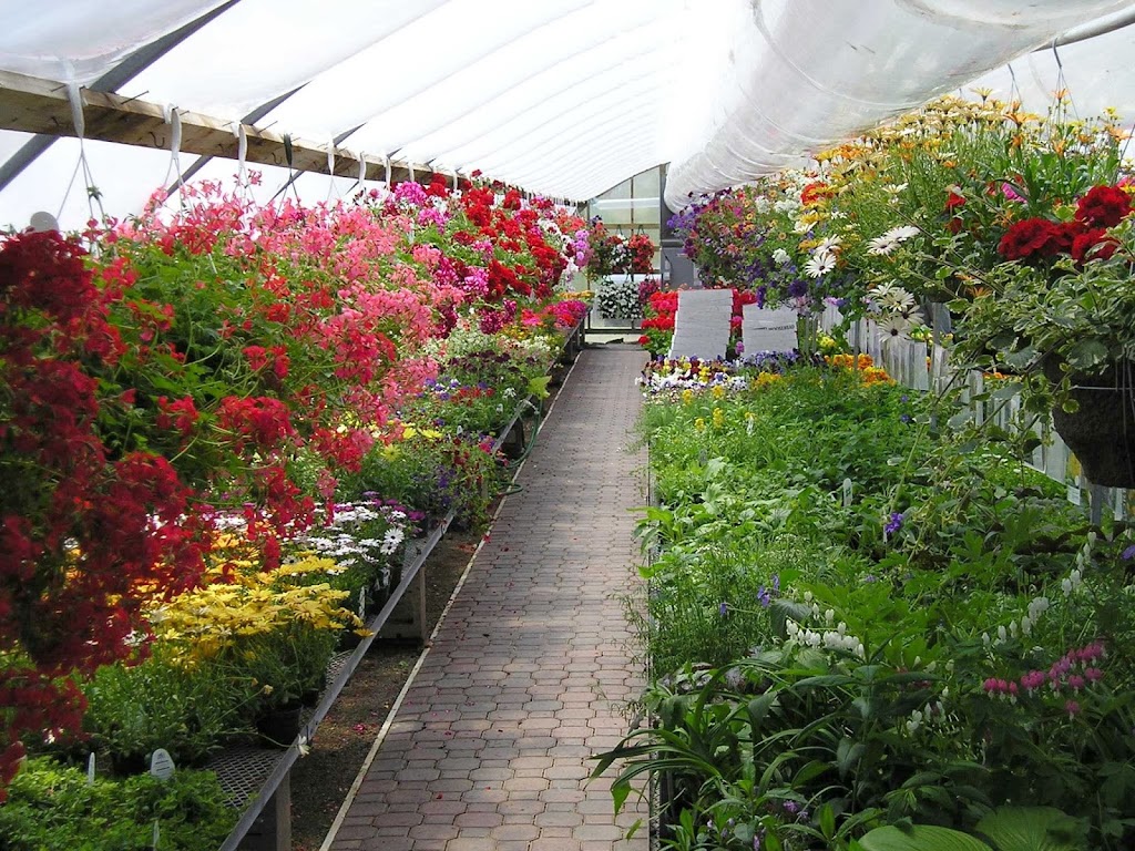 Duykers Greenhouses | 8928 NS-4, Afton Station, NS B0H 1A0, Canada | Phone: (902) 232-3092