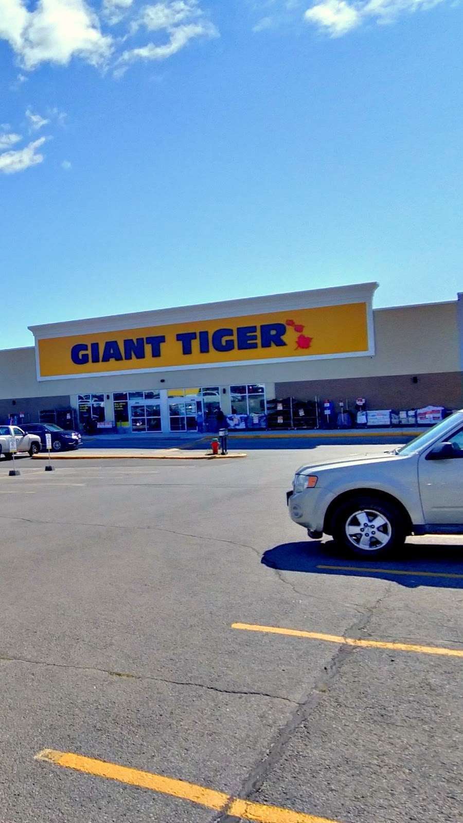 Giant Tiger | 1111 Elgin St W Unit: Z004, Cobourg, ON K9A 5H7, Canada | Phone: (905) 377-1092