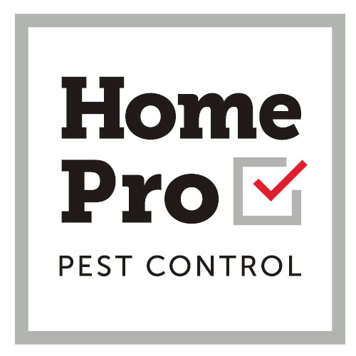 HomePro Pest Control | 3400 14th Ave #3, Markham, ON L3R 0H7, Canada | Phone: (416) 488-7378