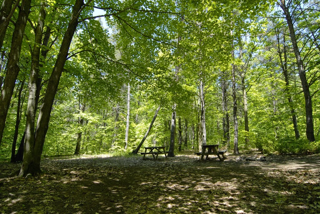 Lafontaine RV Resort & Campground | 240 Lafontaine Rd E, Tiny, ON L9M 0S2, Canada | Phone: (705) 533-2961