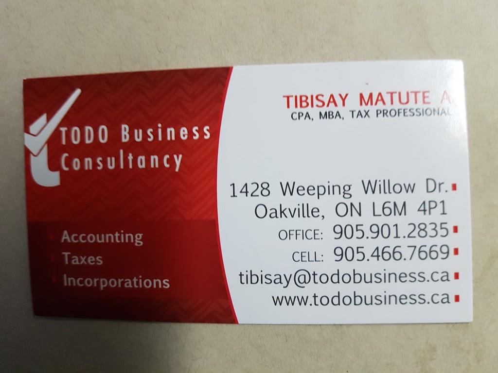 TODO business consultancy inc | 1428 Weeping Willow Dr, Oakville, ON L6M 4P1, Canada | Phone: (905) 901-2835