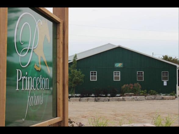 Princeton farms | 726614, Township Rd 3, Princeton, ON N0J 1V0, Canada | Phone: (226) 938-1123